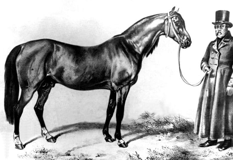 «Изумруд» — краткое содержание рассказа А.И. Куприна