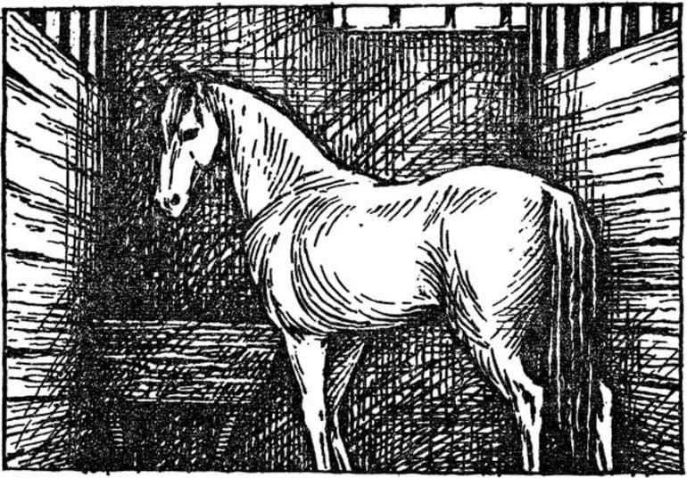 «Изумруд» — краткое содержание рассказа А.И. Куприна