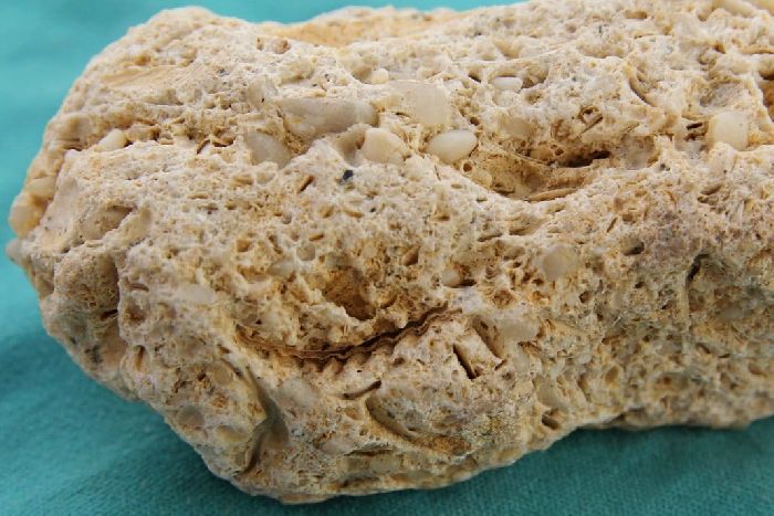 Известняк горная порода – происхождение, тип, характеристики и описание кратко (2 класс, окружающий мир)