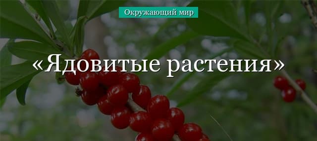 Ядовитые растения (3 класс, окружающий мир)