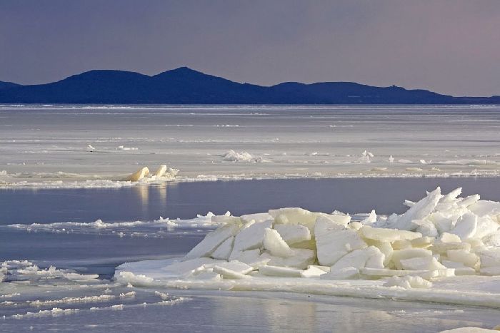 Японское море – где находится, соленость и распределение глубин, средняя температура зимой и летом