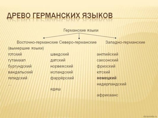 Языковые семьи Зарубежной Европы и языки