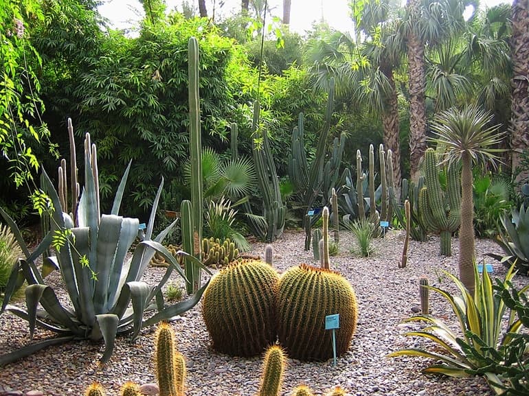 Южная Америка &mdash; особенности географического положения и общая характеристика материка