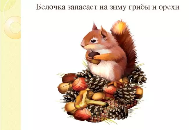 Как лесные звери готовятся к зиме