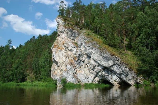 Как образуется почва (3 класс), гумус и минеральные соли по окружающему миру