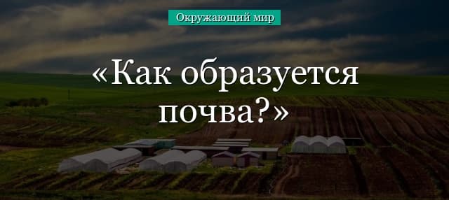 Как образуется почва (3 класс), гумус и минеральные соли по окружающему миру
