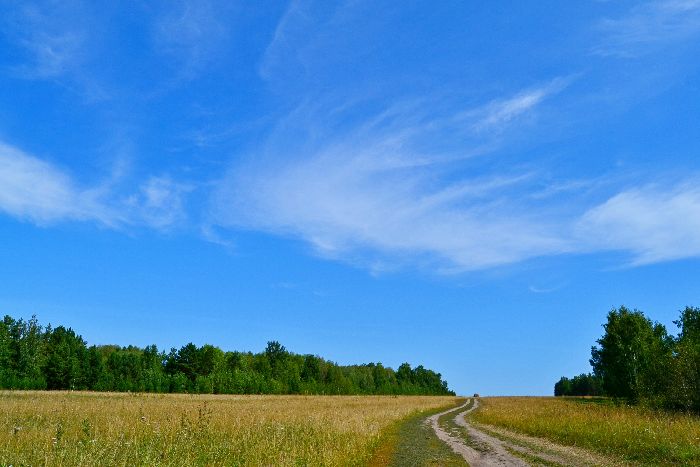 Как образуются облака – перистые и слоистые типы, откуда появляются и почему для детей кратко (3 класс, окружающий мир)
