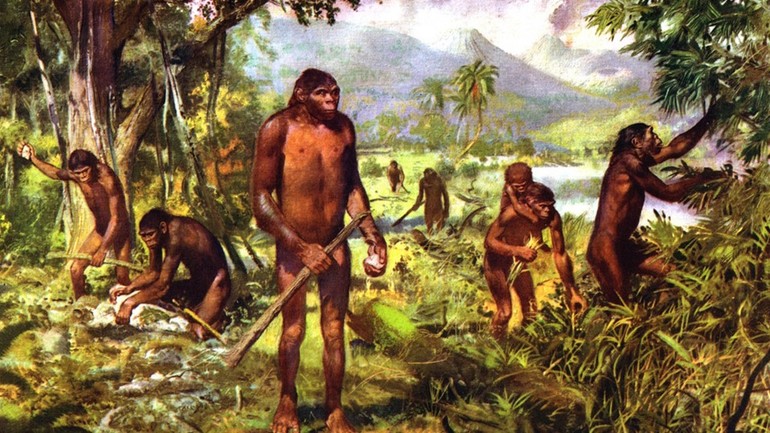 Как происходило освоение земли человеком &mdash; причины и этапы  заселения