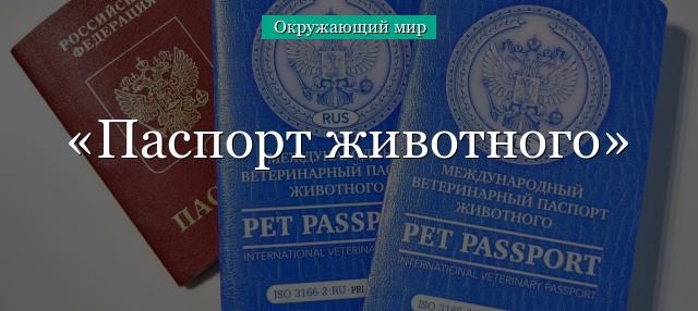 Как составить паспорт животного – образец с примерами кратко (4 класс, окружающий мир)