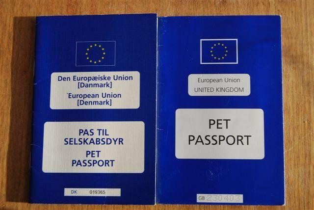 Как составить паспорт животного – образец с примерами кратко (4 класс, окружающий мир)