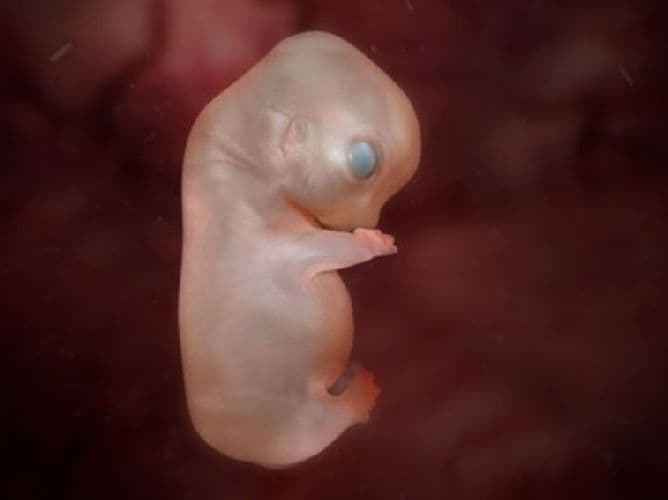 Как устроен мир и природа? (3 класс, окружающий мир)