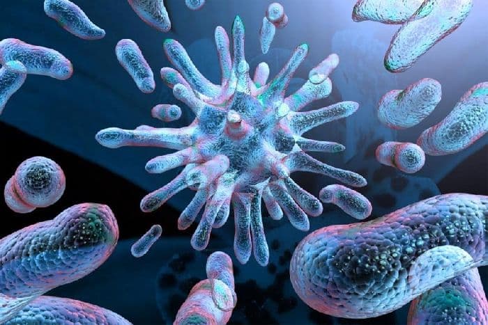 Как устроен мир и природа? (3 класс, окружающий мир)