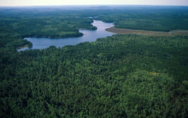 Какая природная зона самая большая и занимает большую площадь России