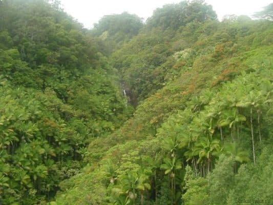 Какие бывают природные зоны, их основные особенности