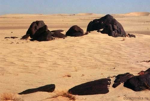 Какие бывают природные зоны, их основные особенности