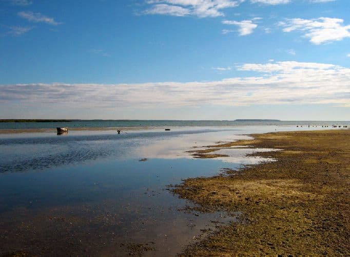 Какие равнины есть в России &ndash; таблица названий, расположение на карте списком для&nbsp;сообщения