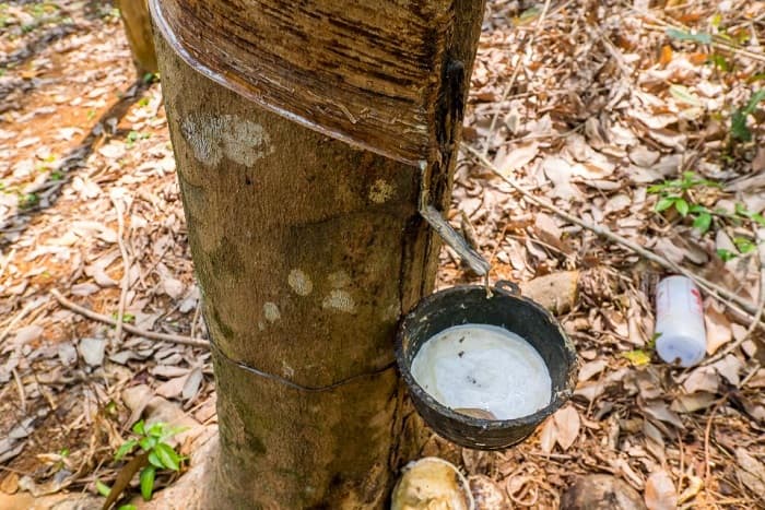 Каучук это &mdash; виды, свойства, получение и применение