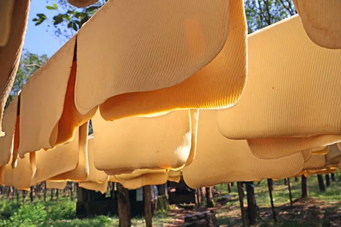 Каучук это &mdash; виды, свойства, получение и применение