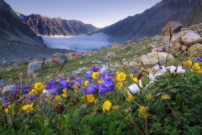 Кавказ &ndash; природа, рельеф и народы (8 класс)