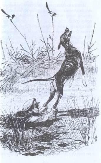 &laquo;Кладовая солнца&raquo; &mdash; краткое содержание ? рассказа М. М. Пришвина