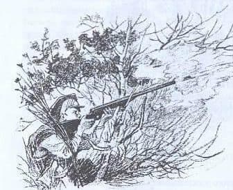 &laquo;Кладовая солнца&raquo; &mdash; краткое содержание ? рассказа М. М. Пришвина