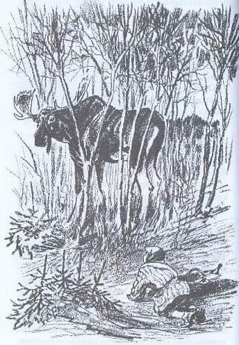 &laquo;Кладовая солнца&raquo; &mdash; краткое содержание ? рассказа М. М. Пришвина