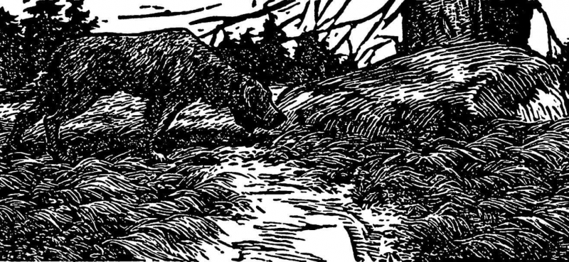 &laquo;Кладовая солнца&raquo; &mdash; краткое содержание ? рассказа М. М. Пришвина