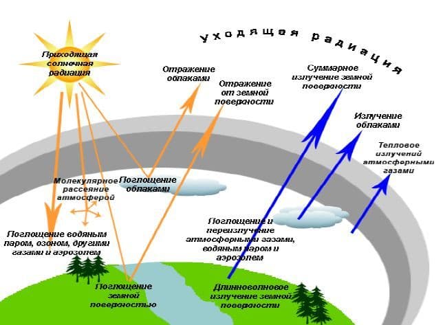 Климат Антарктиды &ndash; средняя температура, особенности и осадки кратко