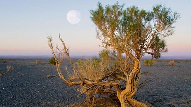 Климат Евразии и Северной Америки, климатические пояса &ndash; сравнение