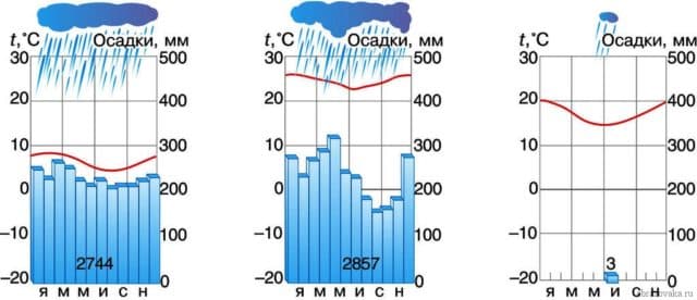 Климат Южной Америки, в каких климатических поясах расположена