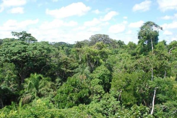 Климат Южной Америки, в каких климатических поясах расположена