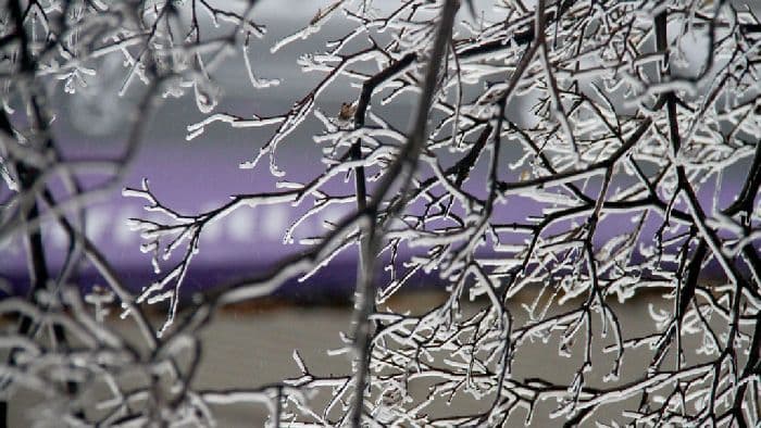 Климат Москвы – среднегодовая температура, среднее количество осадков зимой и летом