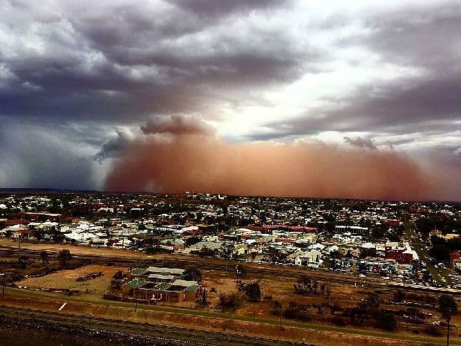 Климат пустыни – климатические особенности и природные условия кратко