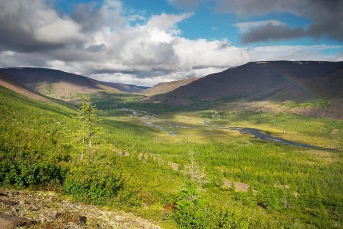 Климат Русской равнины (Восточно-Европейской) &ndash; тип климатических поясов