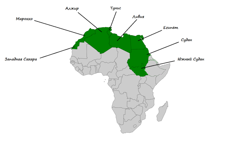 Климатические пояса Африки — положение, особенности и характеристика областей