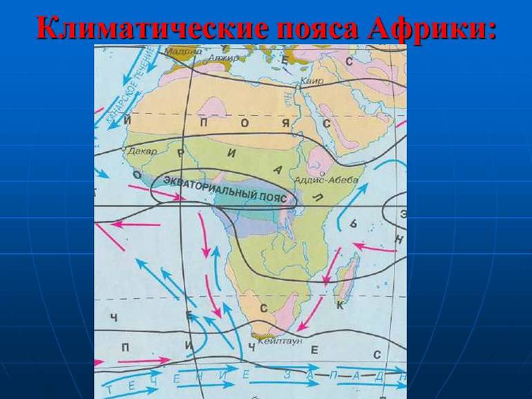 Климатические пояса Африки — положение, особенности и характеристика областей