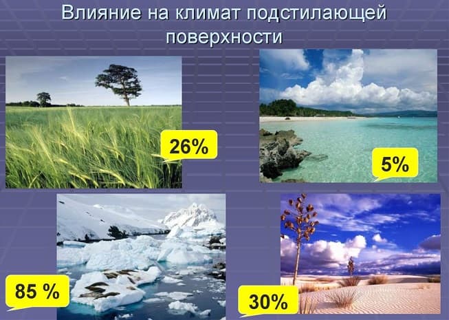 Климатические зоны России &mdash; типы и характеристики