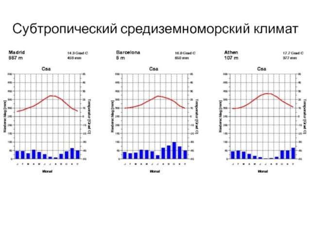 Климатограмма&nbsp;различных типов климата &ndash; как читать и работать с ней кратко (7 класс)