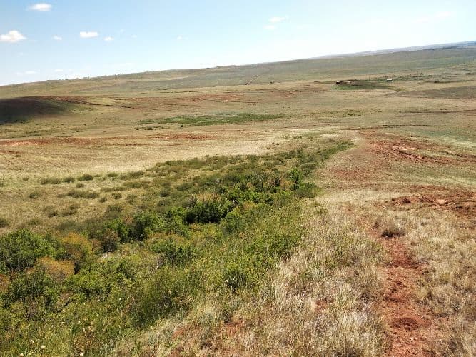 Коэффициент увлажнения &ndash; как рассчитать в географии