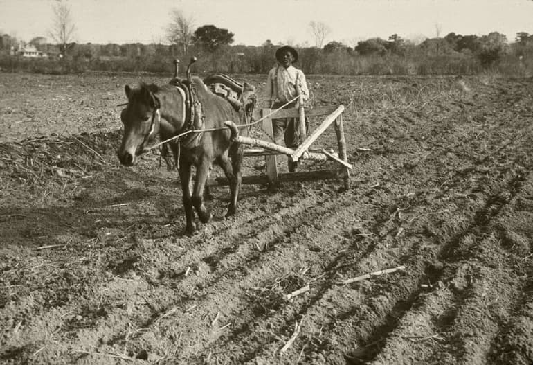 «Коняга» — краткое содержание рассказа М.Е. Салтыкова-Щедрина