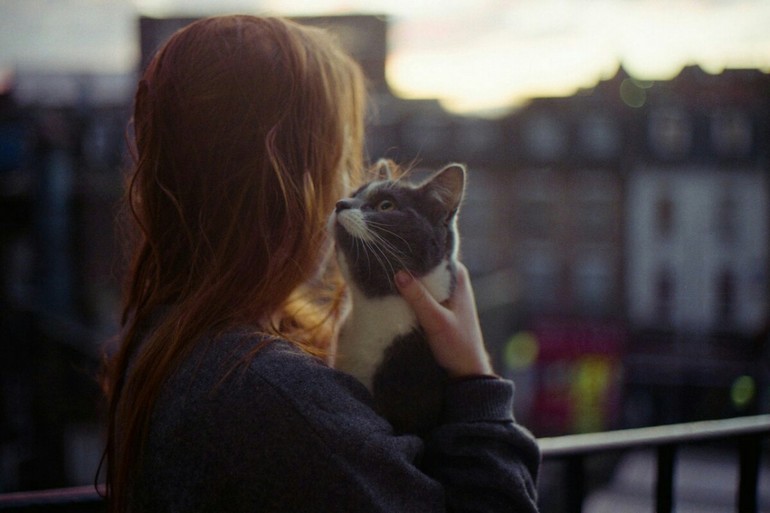 &laquo;Кошка под дождем&raquo; &mdash; краткое содержание рассказа Эрнеста Хемингуэя