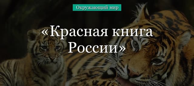 Красная книга России (1 класс, окружающий мир)