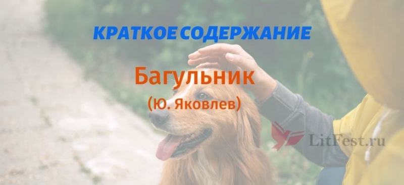Краткое содержание рассказа «Багульник» Ю. Яковлев