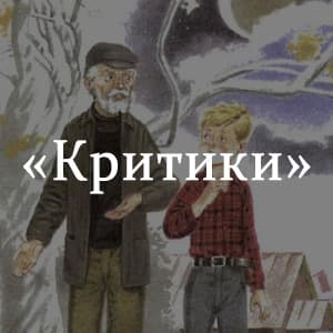 «Критики» краткое содержание рассказа Шукшина – читать пересказ онлайн