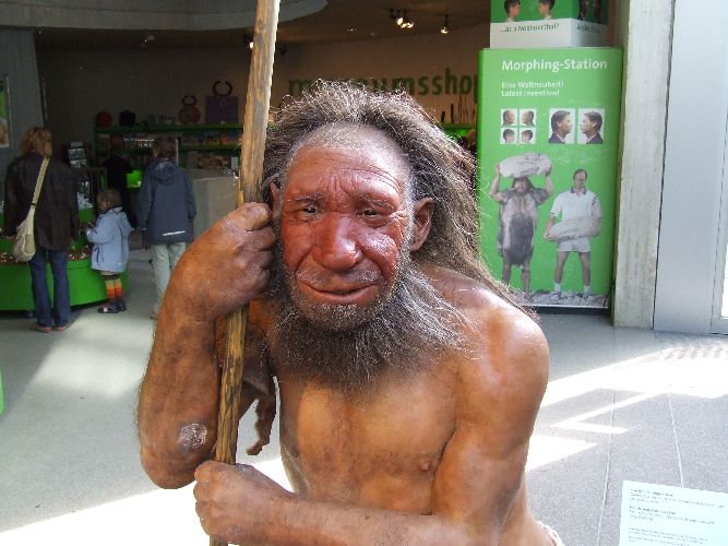 Кроманьонец &ndash; образ жизни и описание в таблице