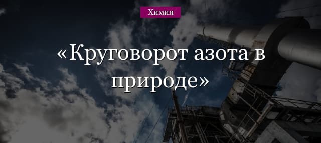 Круговорот азота в природе – схема и описание