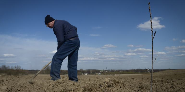 &laquo;Кукла&raquo; &mdash; краткое содержание рассказа Евгения Носова