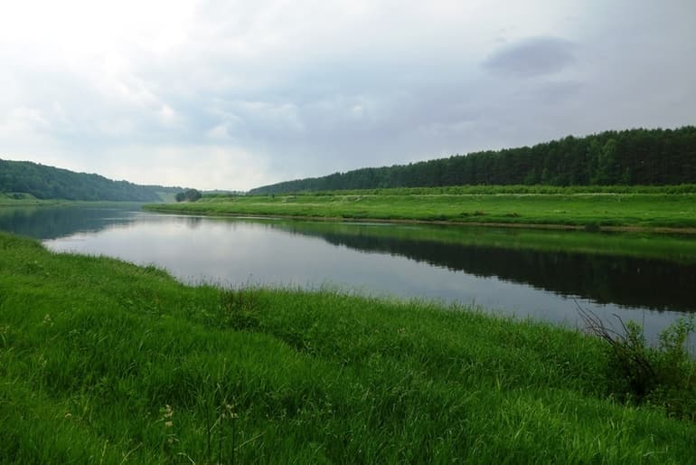 &laquo;Кукла&raquo; &mdash; краткое содержание рассказа Евгения Носова