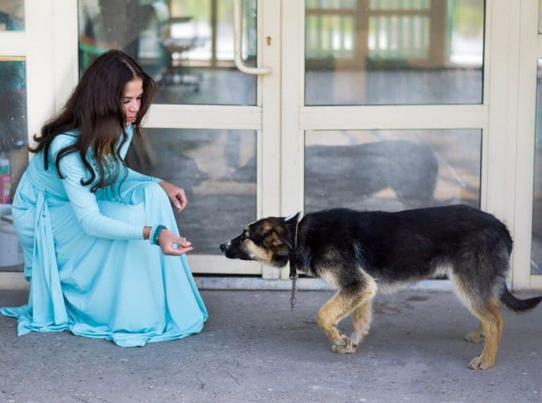 «Кусака» — краткое содержание рассказа Леонида Андреева
