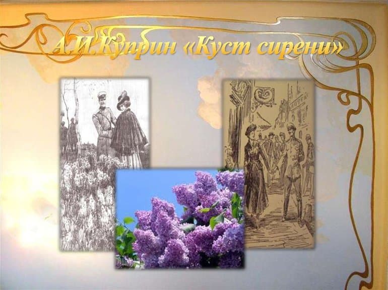 «Куст сирени» — краткое содержание рассказа А.И. Куприна